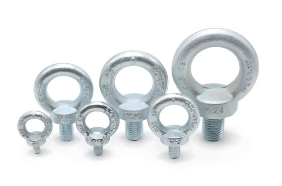 DIN580 Hardware Rigging Galvanized Lifting Eye Bolt Carbon Steel Drop Forged Dacromet